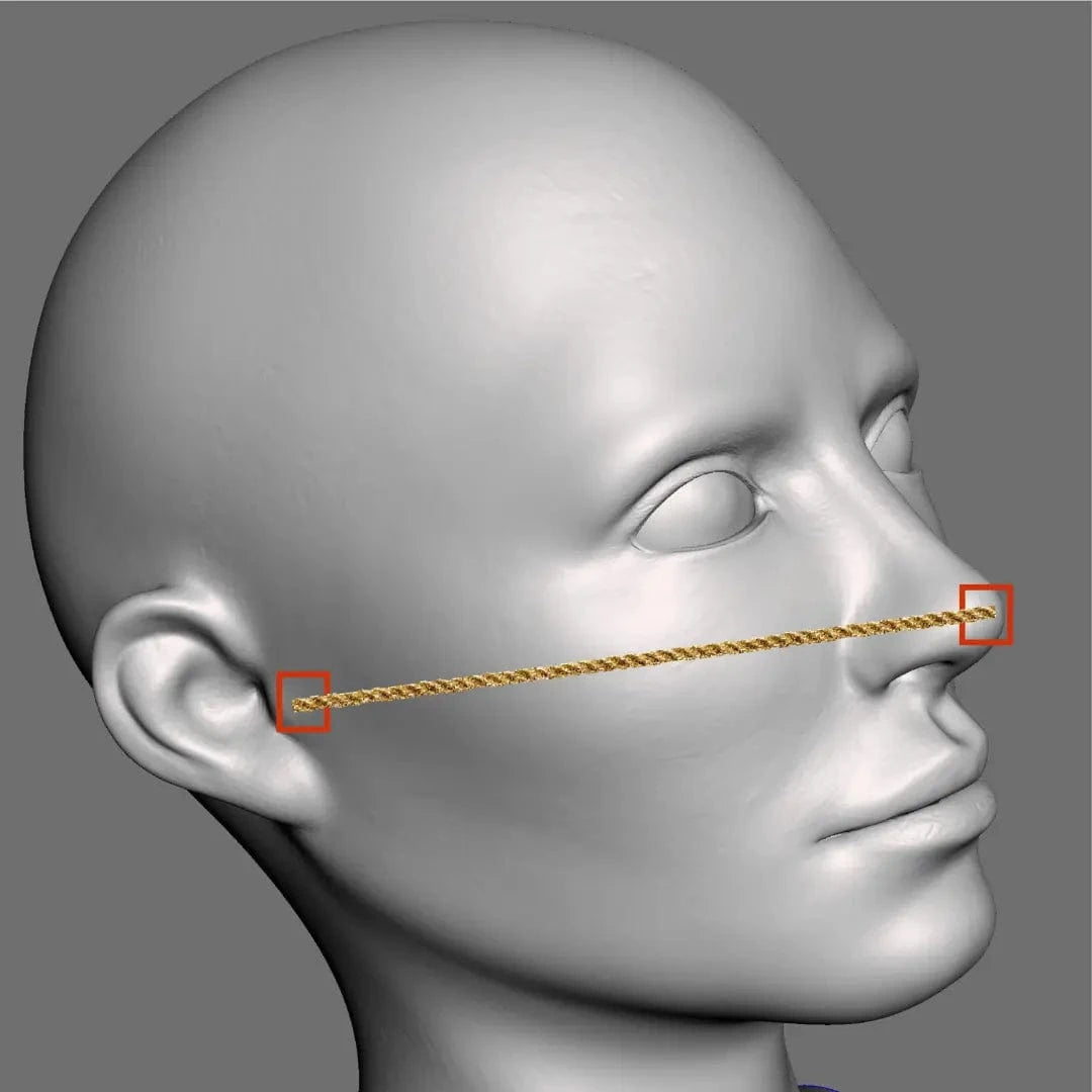 A string held from the point beside the ear to the tip of the nose.